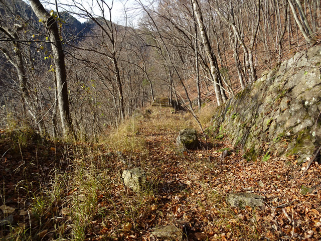 ����X�ѓS��,�ѓS,�p����,��q��詓�,�t�֐�,�i���[�O����,�V��