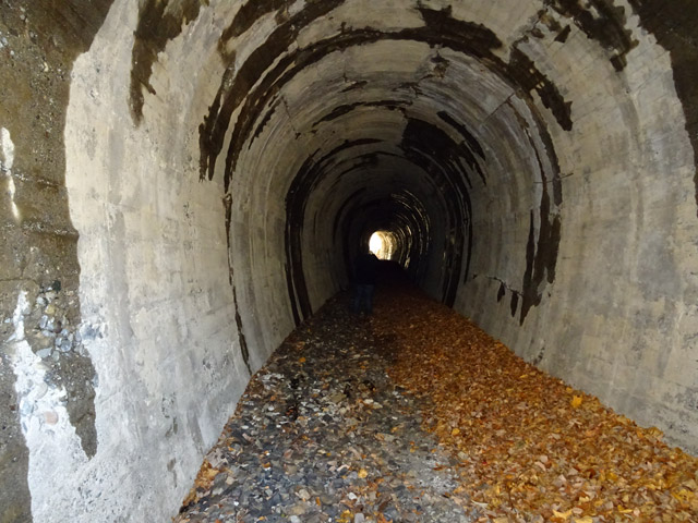 ����ѓS,�X�ѓS��,�p����,�y�֋O��,��q���g���l��,詓�,2�t�B�[�g6�C���`