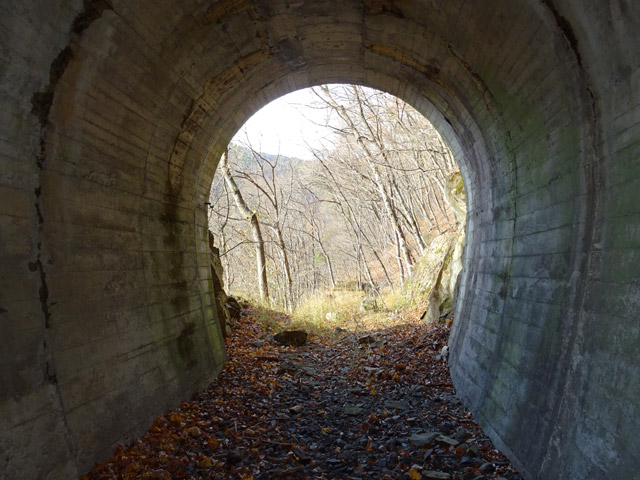 ����ѓS,�X�ѓS��,�p����,����,��q���g���l��,詓�,�H��