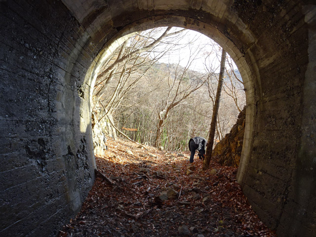 ����X�ѓS��,�ѓS,�p����,��q���g���l��詓�,�V��,詓�