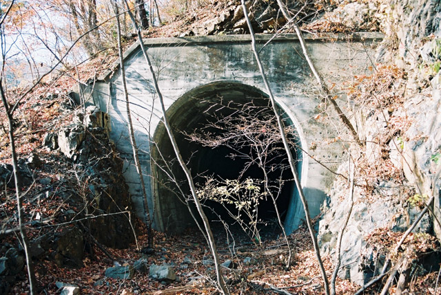 ����ѓS,�X�ѓS��,�p����,�؍މ^���O����,��q��詓�,�g���l���|�[�^��,���