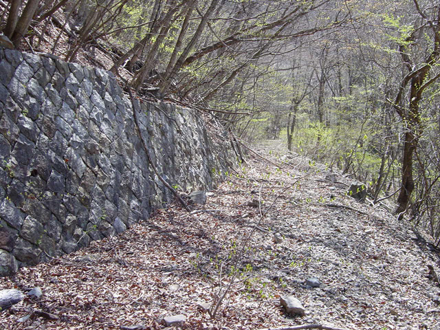 �ؑ]�X�ѓS�������,�ѓS,�p����,�㏼�^�A�c�я�,1����,��r�ʐ^