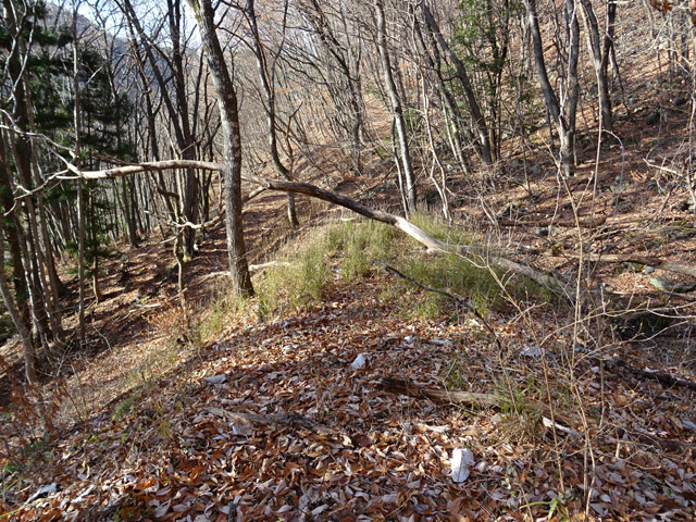 ����X�ѓS��,�ѓS,�p����,�؍މ^���O����,�z���,1����