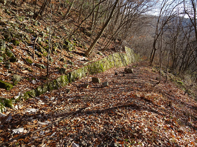 ����X�ѓS��,�ѓS,�p����,�i���[�Q�[�W,�Ί_,�ؑ]�X