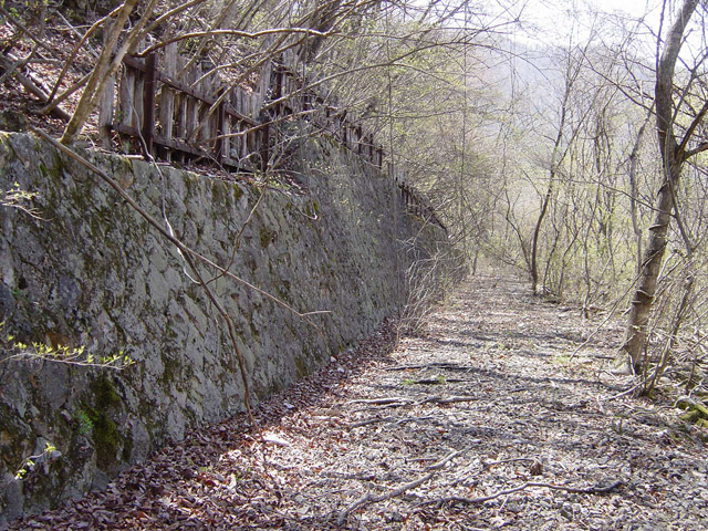 ����X�ѓS��,�ѓS,�p����,�i���[�O����,�t�֐�,�i��