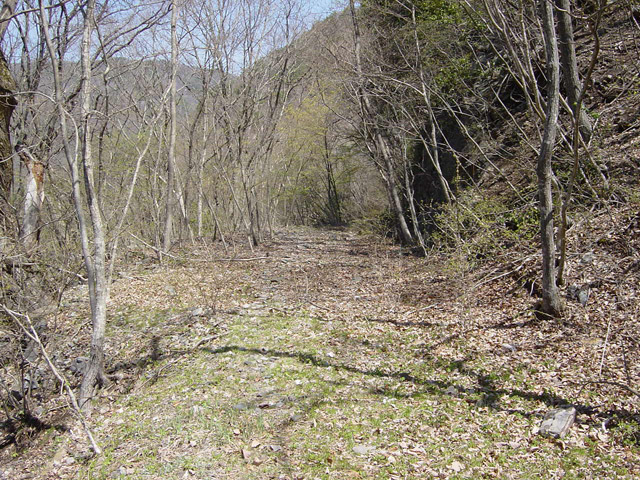 �ؑ]�X�ѓS�������,�ѓS,�p����,�؍މ^���O����,�c�я��O��,���ꑺ