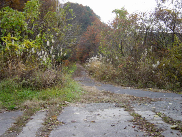 ����X�ѓS��,�ѓS,�p����,��q����ԏ�,�t�֐�,�V��