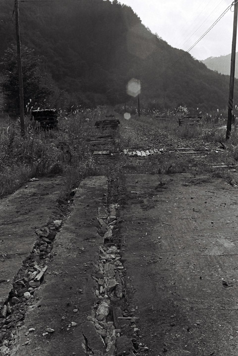 ����X�ѓS��,�ѓS,�p����,��q����ԏ�,�؍މ^���O����,�P��