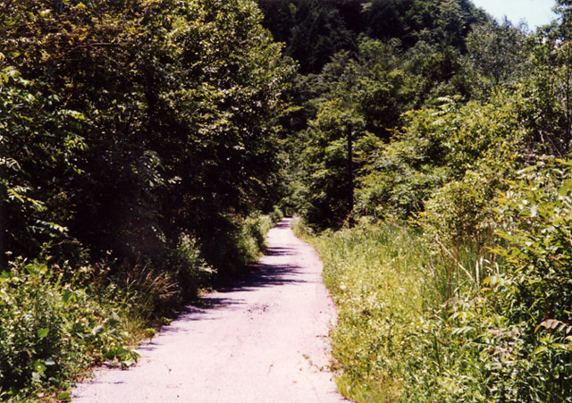 ����ѓS,�X�ѓS��,�p����,��q����ԏ�,�ԓ���,�O����