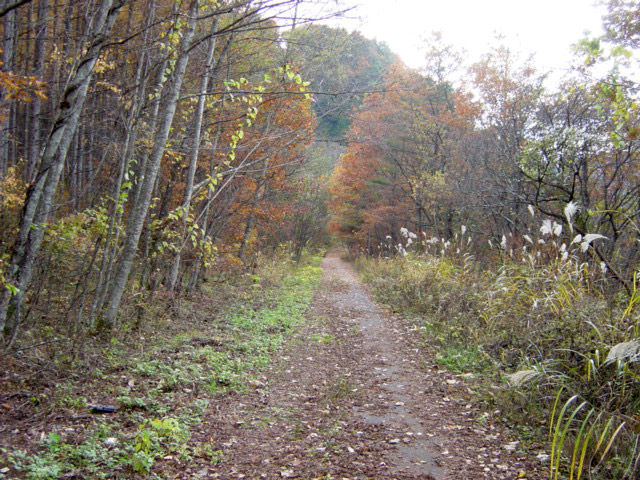 ����ѓS,�X�ѓS��,�p����,��q����ԏ�,�p��,�ؑ]