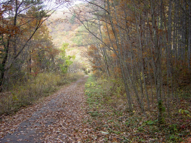 ����ѓS,�X�ѓS��,�p����,��q����ԏ�,�p��,�㏼�^�A�c�я�