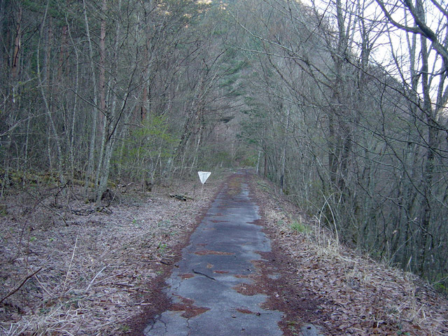 �ؑ]�X�ѓS�������,�ѓS,�p����,��q����ԏ�,�t�֐�,�|�C���g