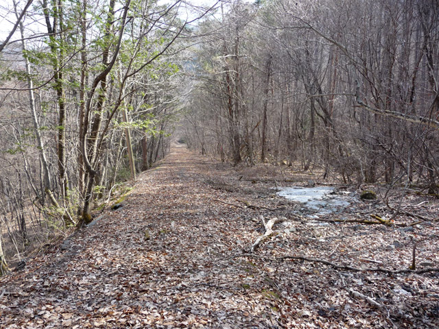 �ؑ]�X�ѓS�������,�ѓS,�p����,��q����ԏ�,�؍މ^���O����,�ʐM��