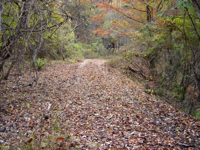 ����X�ѓS��,�ѓS,�p����,����,�H��,�؍މ^���O����