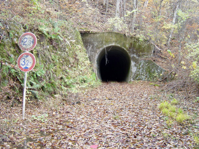 ����X�ѓS��,�ѓS,�p����,詓�,�g���l��,�؍މ^���O����,��q��