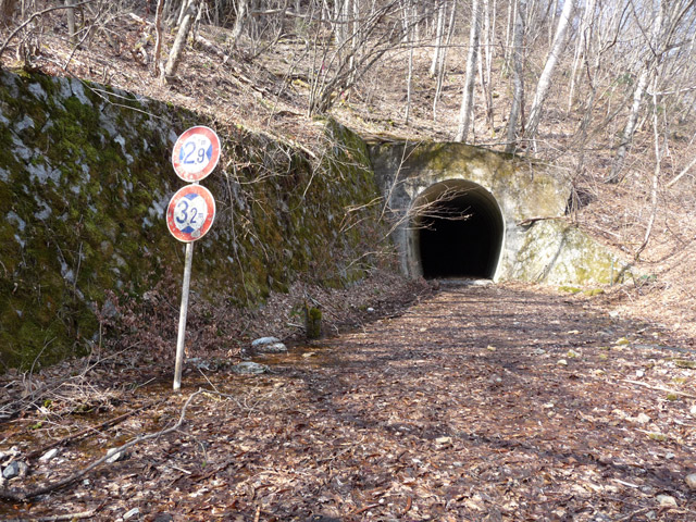 ����X�ѓS��,�ѓS,�p����,詓�,�g���l��,�؍މ^���O����,���n��