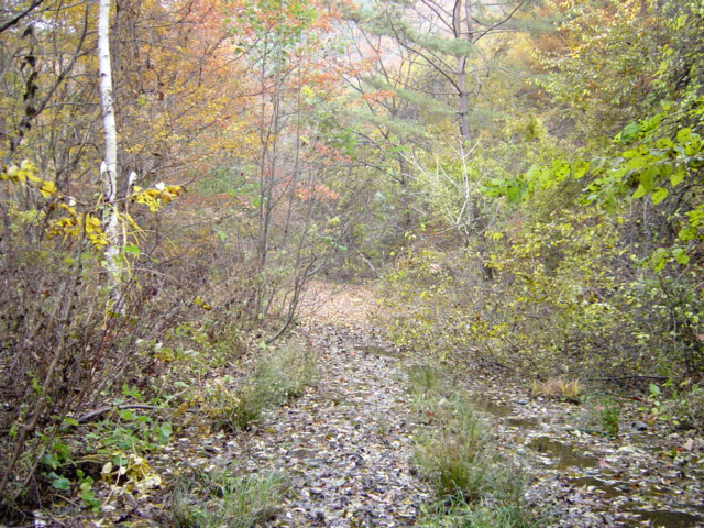 ����X�ѓS��,�ѓS,�p����,�㏼�^�A�c�я�,����c�ы�,�c�я��O��,���ꑺ