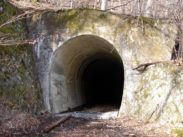 ����X�ѓS���{��,�ѓS,�p����,�q��詓�,�g���l��,�B��