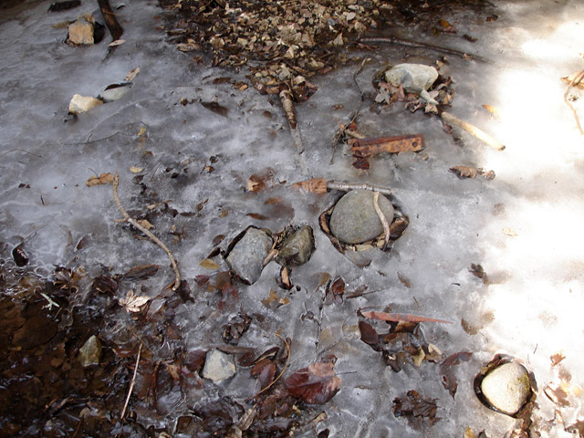 ����X�ѓS���{��,�ѓS,�p����,�q��詓�,�g���l��,�����Ă��