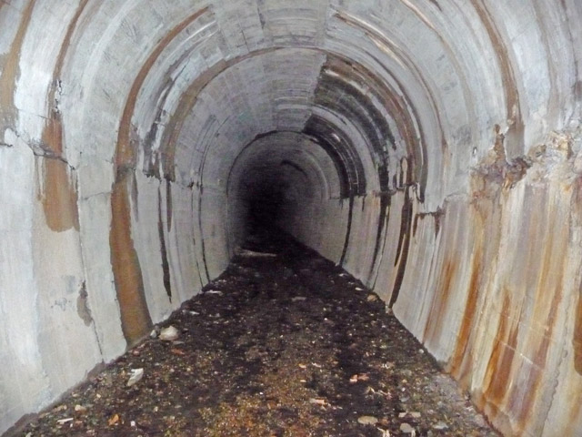 ����X�ѓS���{��,�ѓS,�p����,�q��詓�,�g���l��,��������