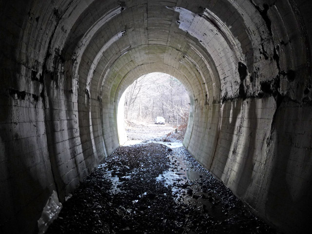 ����X�ѓS���{��,�ѓS,�p����,�q��詓�,�g���l��,�Ȑ�