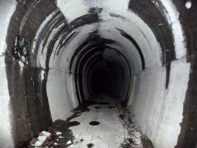 �ؑ]�X�ѓS�������,�ѓS,�p����,�q���g���l��,���m�p�����c,�t�ւ���