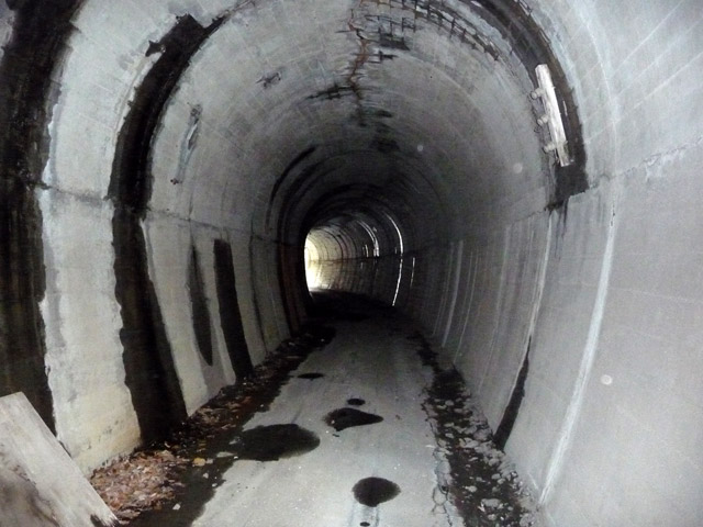 �ؑ]�X�ѓS�������,�ѓS,�p����,�q���g���l��,�؍މ^���O����,�ʐM��