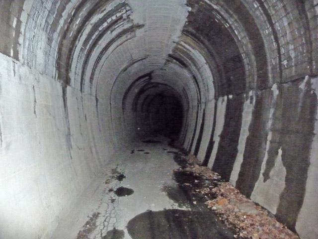 �ؑ]�X�ѓS�������,�ѓS,�p����,�q��詓�,�i���[�O����,�t�֐�