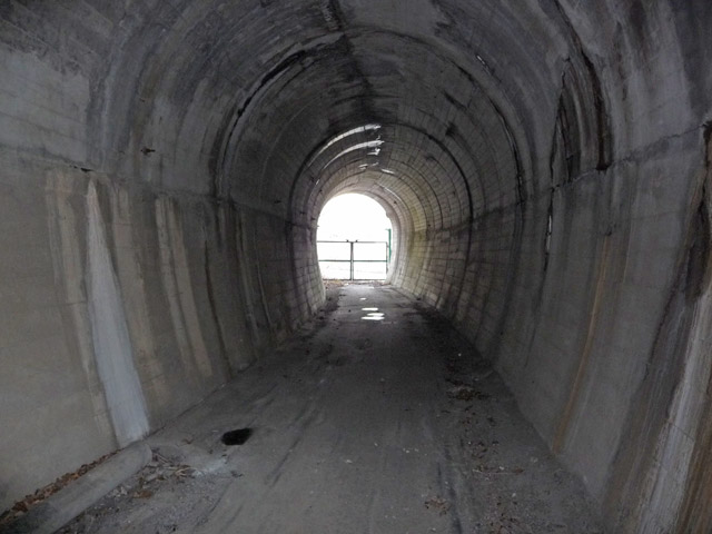 �ؑ]�X�ѓS�������,�ѓS,�p����,�q��詓�,�c�я��O����,�t�֐�