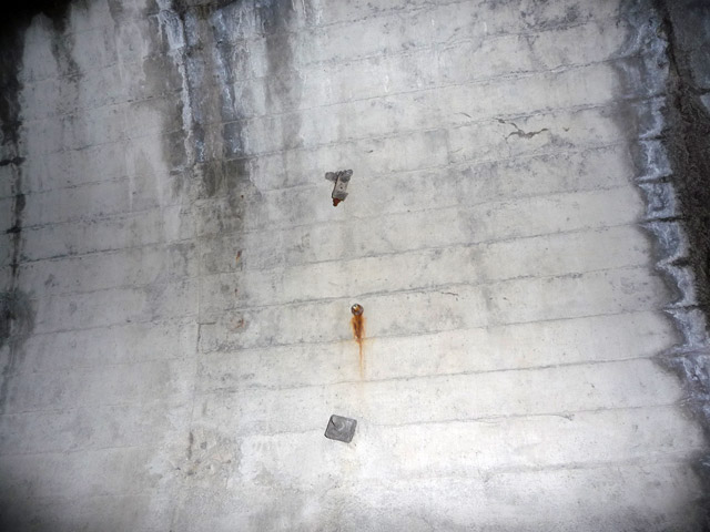 �ؑ]�X�ѓS�������,�ѓS,�p����,�q���g���l��,�y�֋O����,�ʐM��