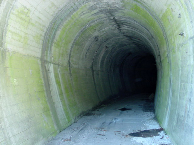 �ؑ]�X�ѓS�������,�ѓS,�p����,�q��詓�,�y�֋O��,���ꑺ