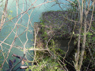 ����X�ѓS��,�ѓS,�p����,�M�򋴗�,����,����