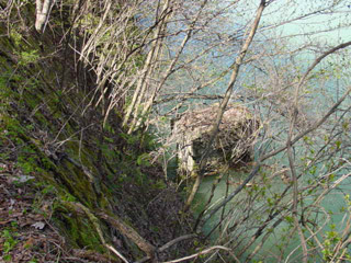 ����X�ѓS��,�ѓS,�p����,�M�򋴗�,����,���r