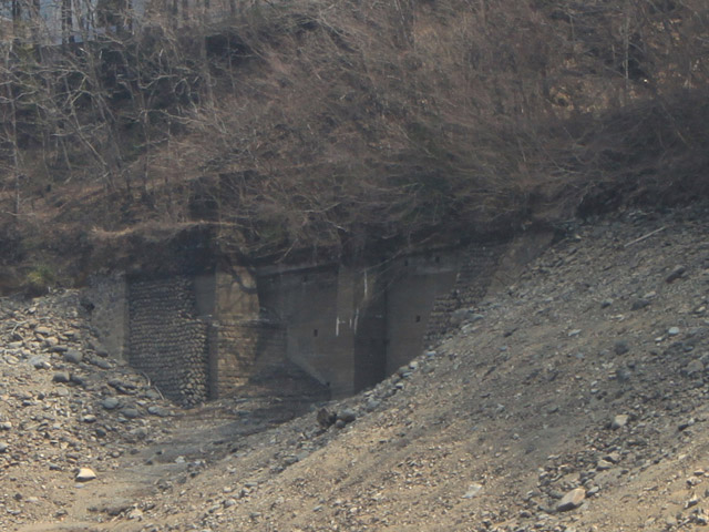 ����X�ѓS��,�ѓS,�p����,�M�򋴗�,����,�����