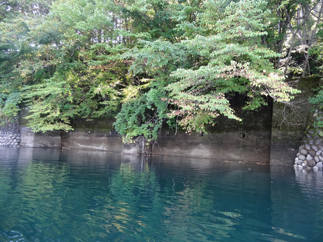 ����X�ѓS��,�ѓS,�p����,�M�򋴗�,����,�J�k�[