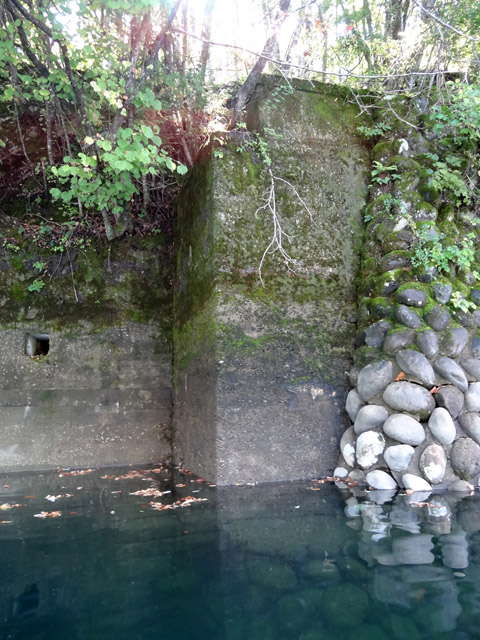 ����X�ѓS��,�ѓS,�p����,�M�򋴗�,����,����