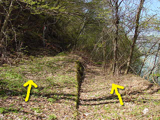 ����X�ѓS�����ː���u���z��ԏ�[�����򋴗��v