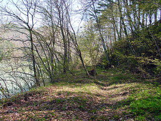 ����X�ѓS�����ː���u���z��ԏ�[�����򋴗��v