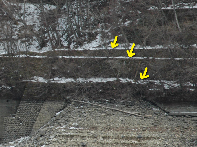 ����X�ѓS�����ː��,�ѓS,�p����