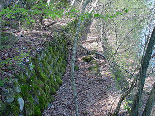 ����X�ѓS��,�ѓS,�p����,���ː�x��,�V��,����