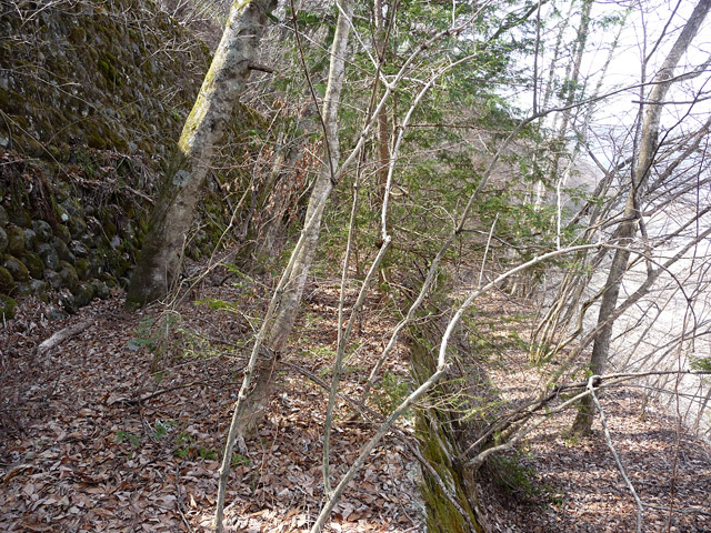 ����X�ѓS��,�ѓS,�p����,���ː�x��,�V��,����