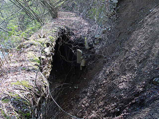 ����X�ѓS��,�ѓS,�p����,�؍މ^���O����,�V��,��������