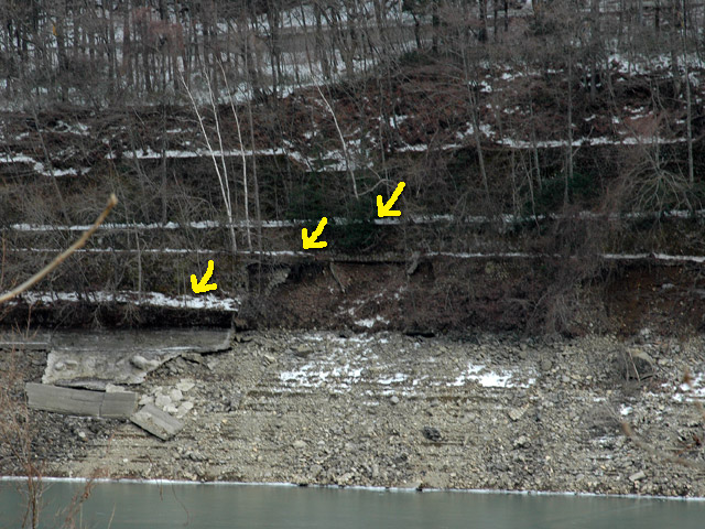 ����X�ѓS��,�ѓS,�p����,�؍މ^���O����,�V��,��������