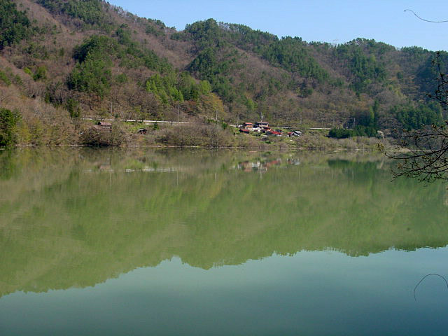 ����X�ѓS��,�ѓS,�p����,���ꑺ,���i,�q���_����,�����