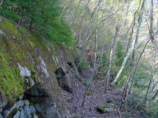 ����X�ѓS��,�ѓS,�p����,���ꑺ,����,�q���_����,�؍މ^���O����