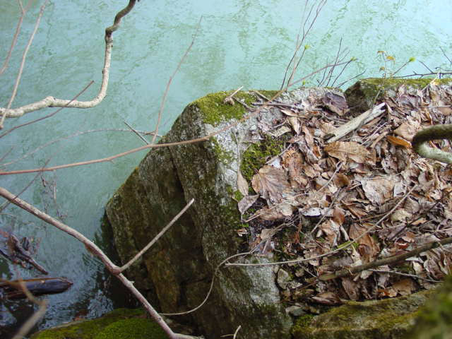 ����X�ѓS��,�ѓS,�p����,����,�����򋴗�,����,�㏼�^�A�c�я�