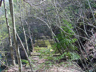 �ѓS,�ؑ]�X�ѓS��,�p����,�����򋴗�,�㏼�^�A�c�я�,����c�ы�