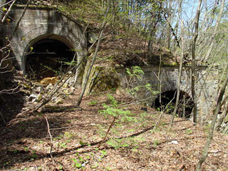 ����X�ѓS��,�ѓS,�p����,�g���l��,������詓�