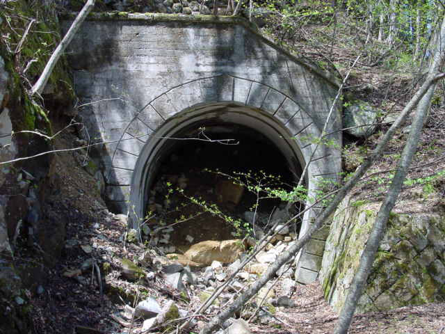 ����X�ѓS��,�ѓS,�p����,�g���l��,������詓�,�V��