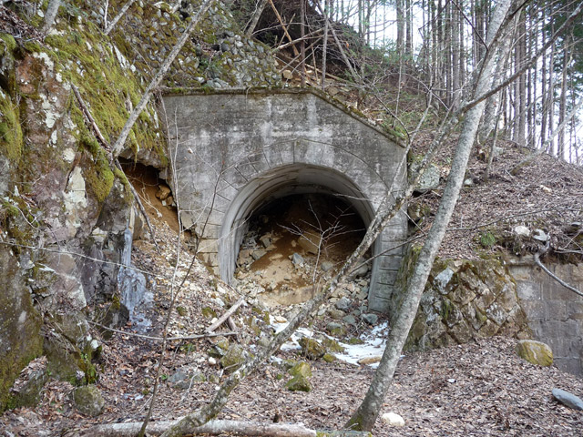 ����X�ѓS��,�ѓS,�p����,�g���l��,������詓�,�V��